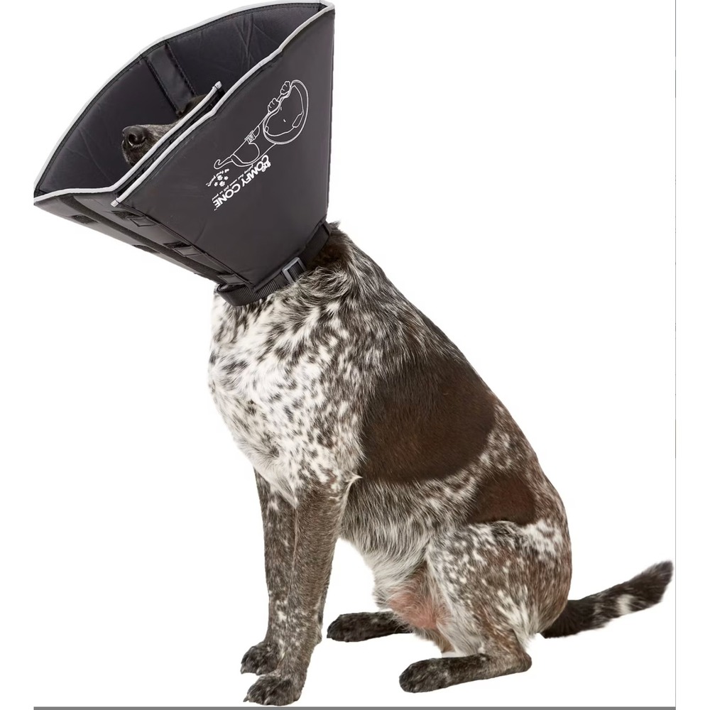 All Four Paws Comfy Cone Black Soft Pet Recovery Collar Adjustable E-Collar XL